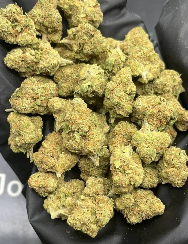 Glitch Extracts Glitch Extracts